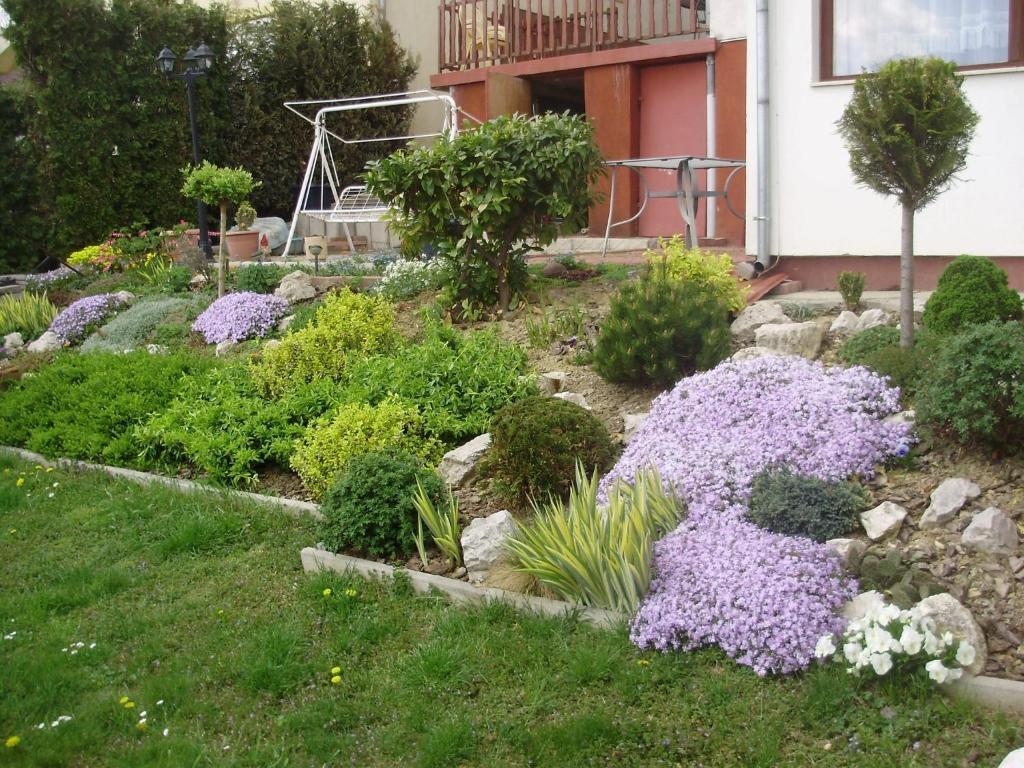Apartman Berki Héviz Pokój zdjęcie